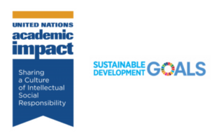 United Nations Academic Impact Group Logo